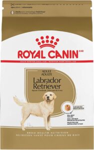 Piensos Royal Canin para Adulto